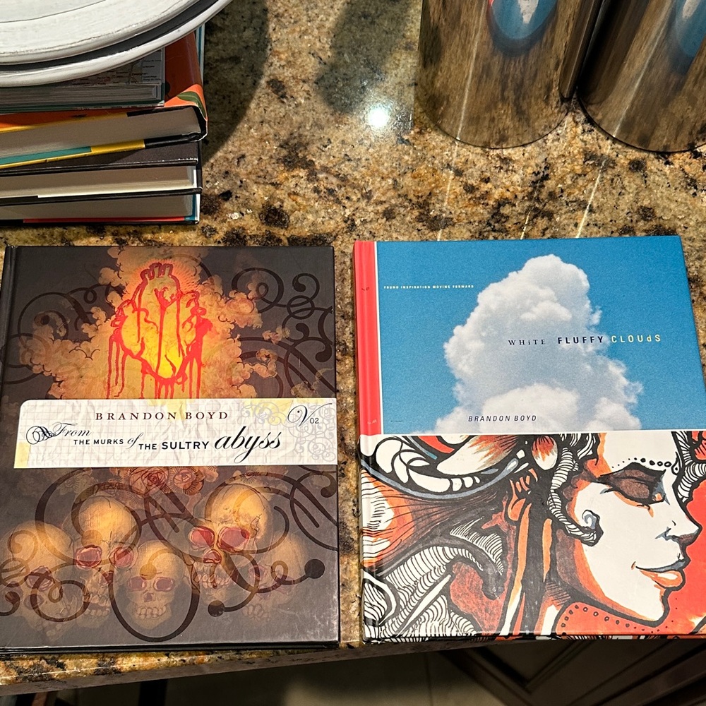 Brandon Boyd set of 2 books, like new condition